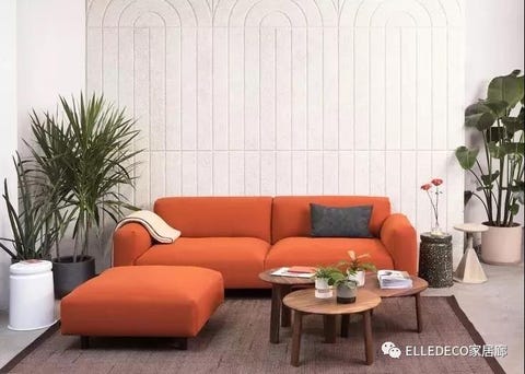 Living room, Couch, Furniture, Room, Interior design, Orange, Houseplant, Wall, Sofa bed, Table, 