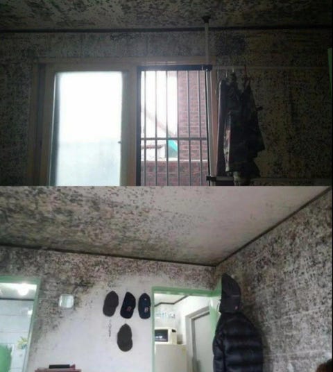 那些住地下室的人 过着比 寄生虫 更惨的人生 那些住地下室的人 过着比 寄生虫 更惨的人生