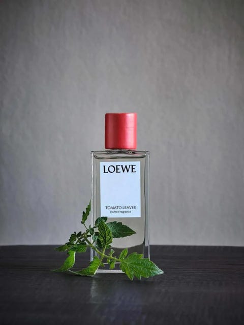 你问过香菜味的香水么 你问过香菜味的香水么