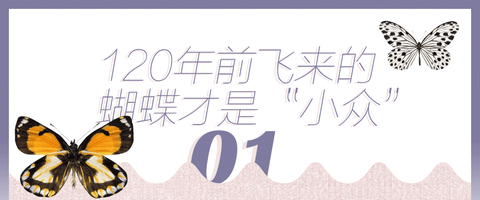 周冬雨宝诗龙