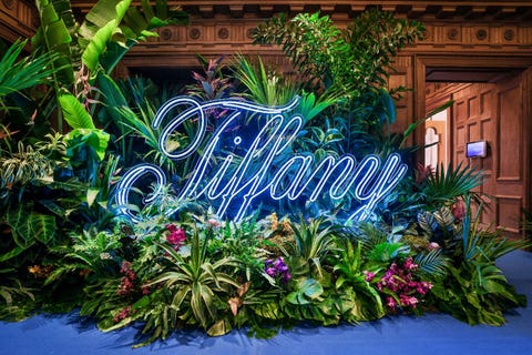 蒂芙尼 tiffany  co