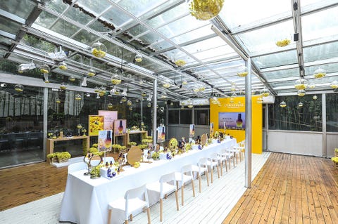 Yellow, Building, Real estate, Architecture, Ceiling, Interior design, Room, Table, Furniture, Leisure, 