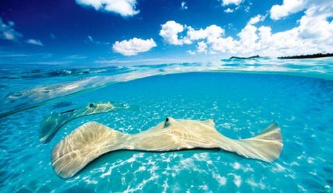 Sky, Ocean, Water, Sea, Cloud, Wind wave, Vacation, Landscape, 