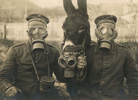 Gas mask, Mask, Personal protective equipment, Clothing, Costume, Headgear, Photography, Stock photography, Black-and-white, 