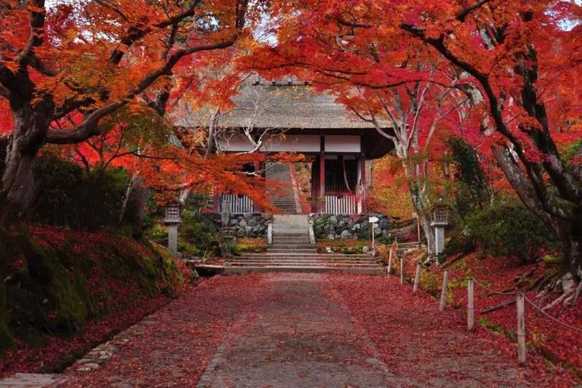 世界太浮躁，去京都的寺院听雨、看枫、静静心