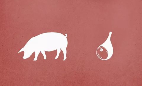 Illustration, Domestic pig, Suidae, Livestock, Tail, Circle, Art, 