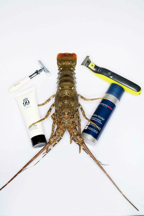Crayfish, Decapoda, Invertebrate, Spiny lobster, Crustacean, Lobster, Arthropod, Insect, Seafood, 
