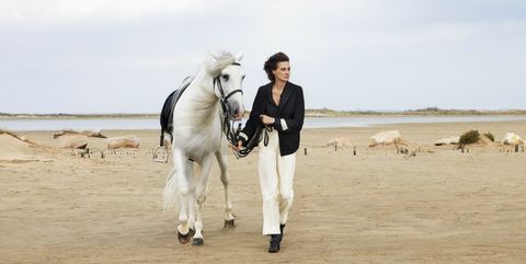 Horse, Tourism, Beach, Vacation, Photography, Stallion, Sand, 