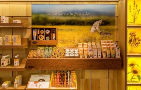 Burt's bees Burt's bees brand products