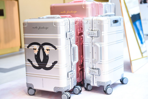 Suitcase, Flightless bird, Penguin, Baggage, Luggage and bags, Hand luggage, Plastic, 