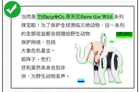 爱是一道光