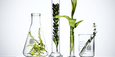 Vase, Glass, Plant, Still life photography, Flower, Botany, Plant stem, Flowerpot, Glass bottle, Still life, 