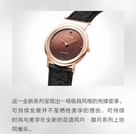 西铁城腕表