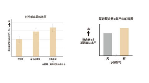 资生堂实验结果 资生堂实验结果