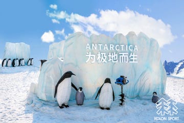 antarctica