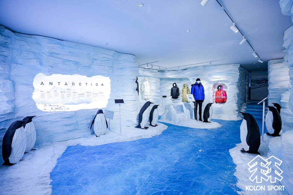 antarctica