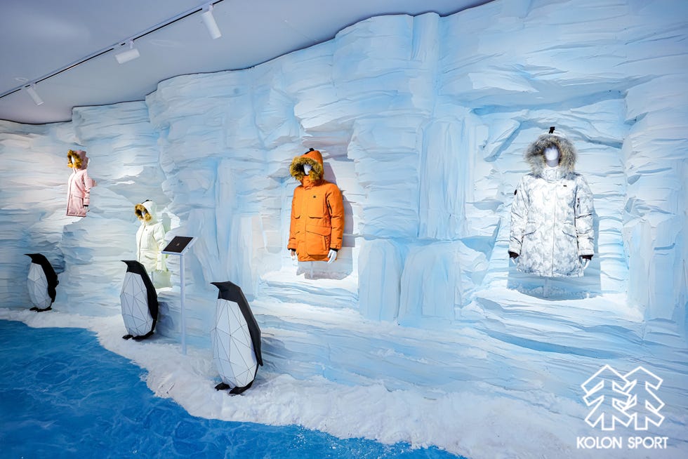 antarctica