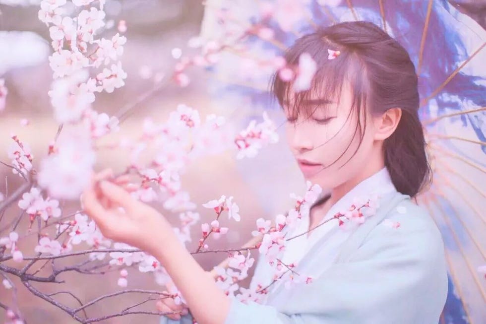 李子柒