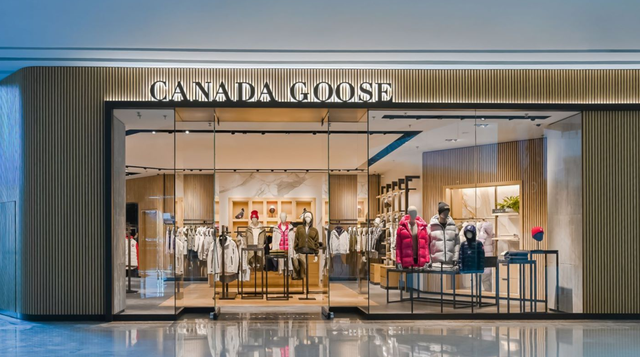 canada goose