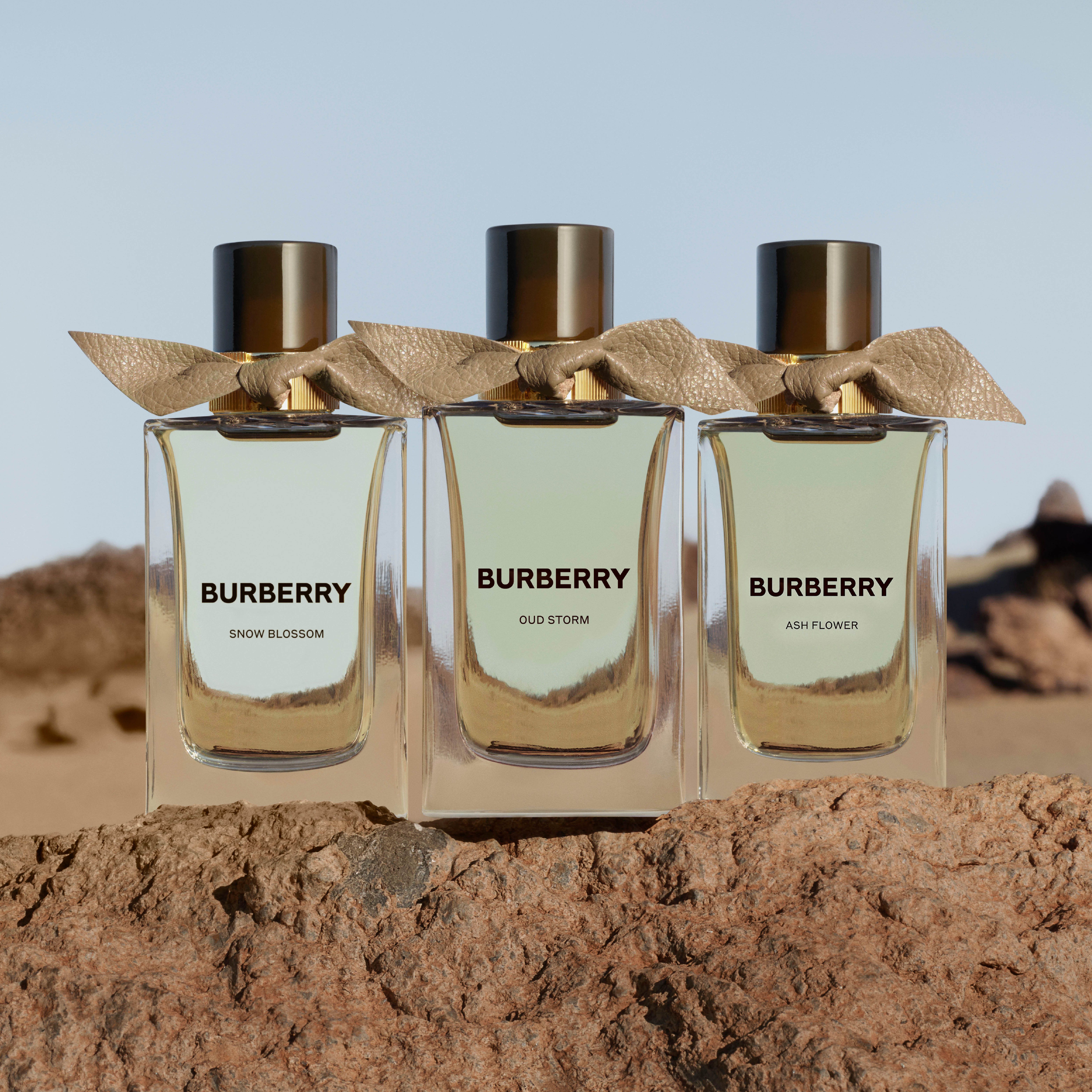 Burberry 高定香氛-植物极境系列新发亮相