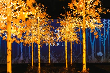 five plus