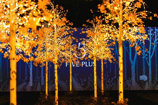 five plus