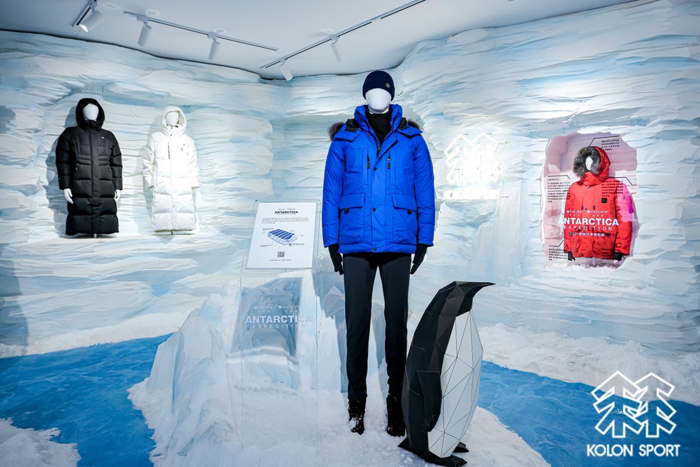 antarctica