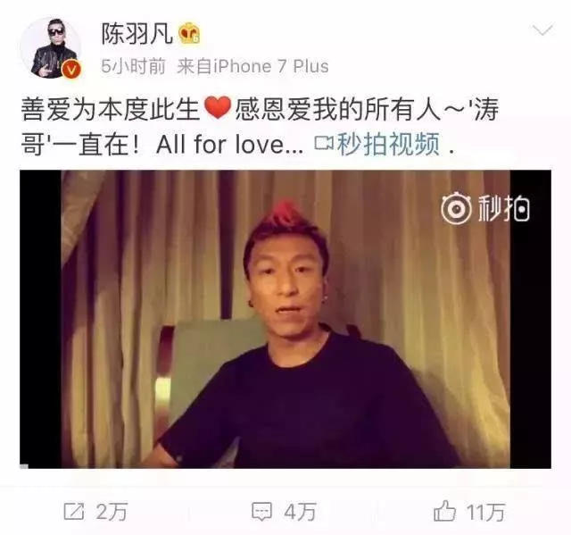 白百何