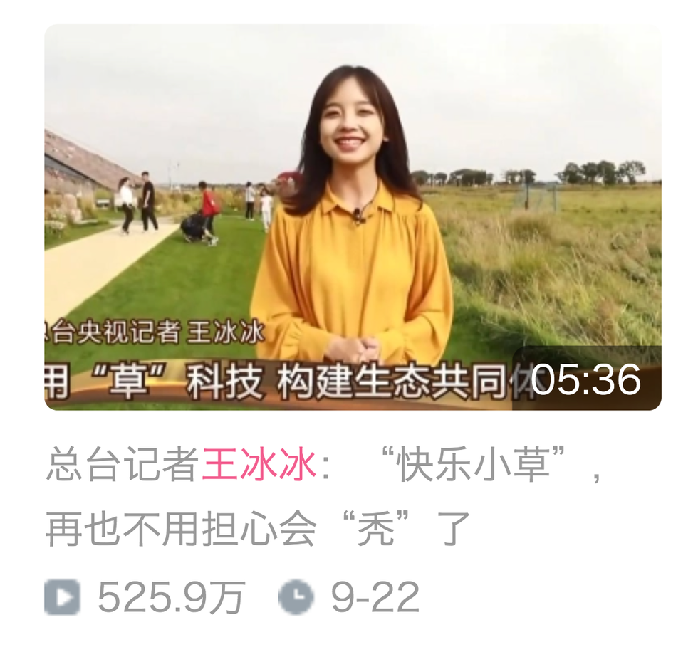 王冰冰