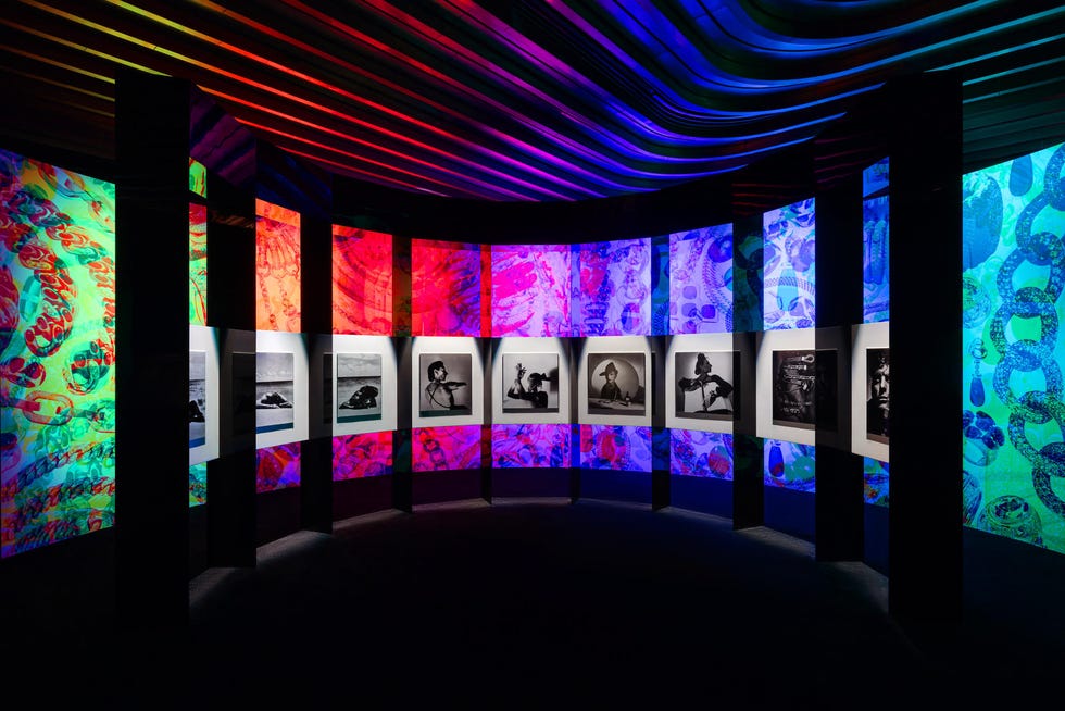 art installation featuring colorful background displays and framed photographs