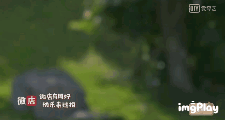 王琳凯