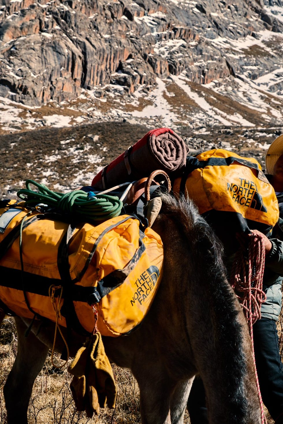 the north face