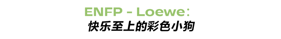 enfp loewe