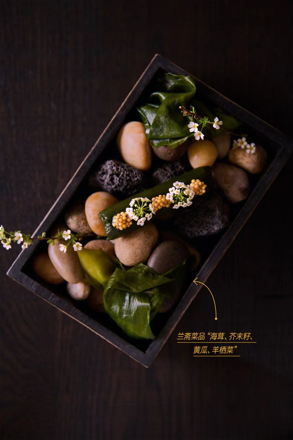 新中菜