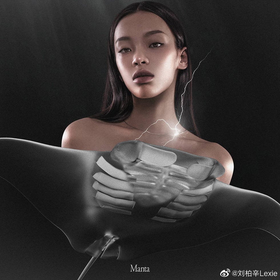 刘柏辛