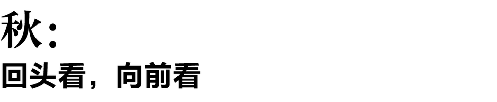 a black silhouette of a cat sitting gracefully