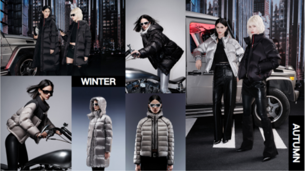 linc chic