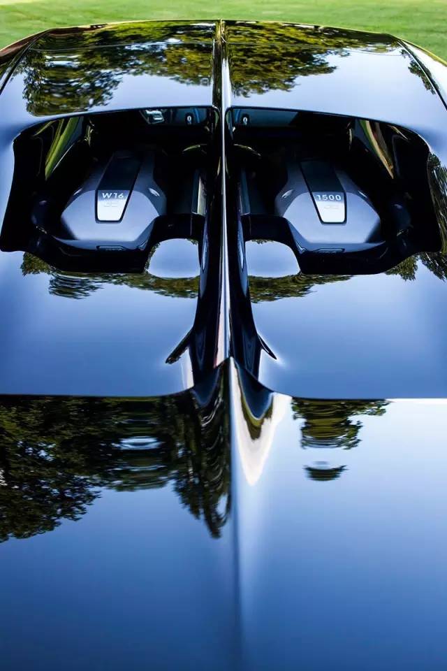 Reflection, Motor vehicle, Water, Hood, Automotive exterior, Vehicle, Vehicle door, Tree, Car, Auto part, 