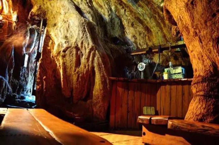 Formation, Cave, Tree, Stalagmite, National park, Plant, Tourist attraction, Coastal and oceanic landforms, Rock, 
