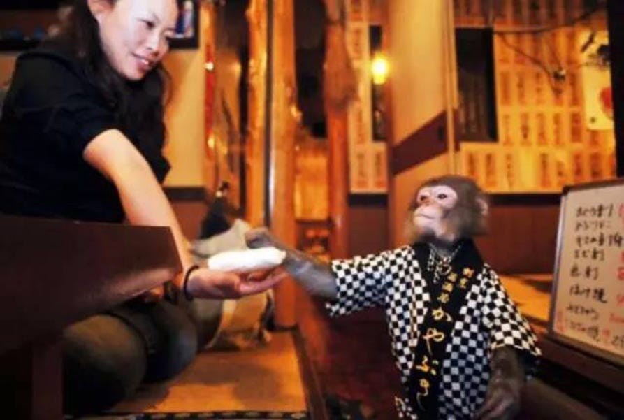 Music, Conversation, Human body, Fun, Sitting, Performance, 
