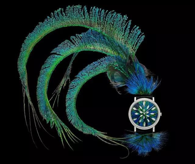 Feather, Fashion accessory, Graphic design, Organism, Graphics, Fractal art, Illustration, Plant, Natural material, Art, 