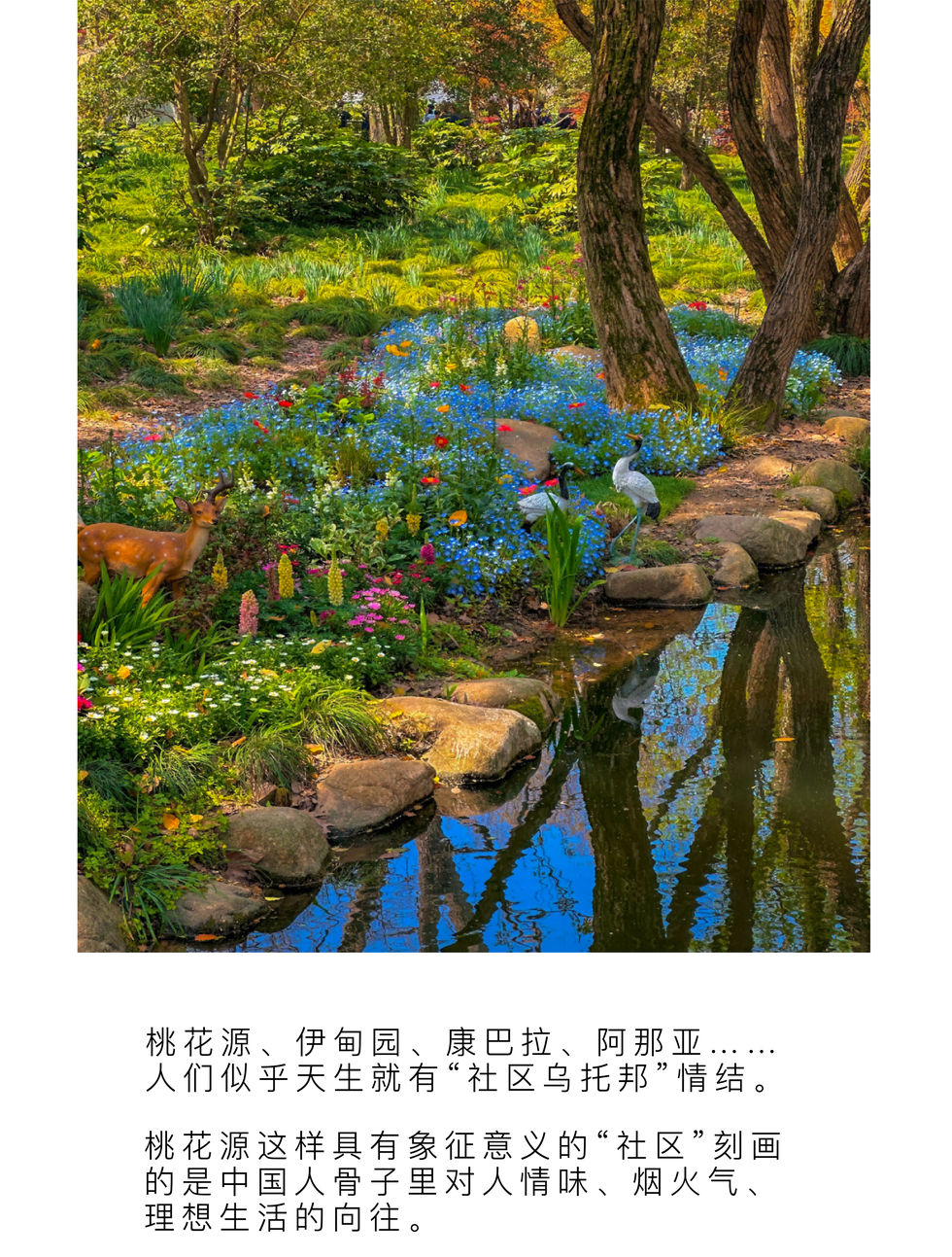 华为
