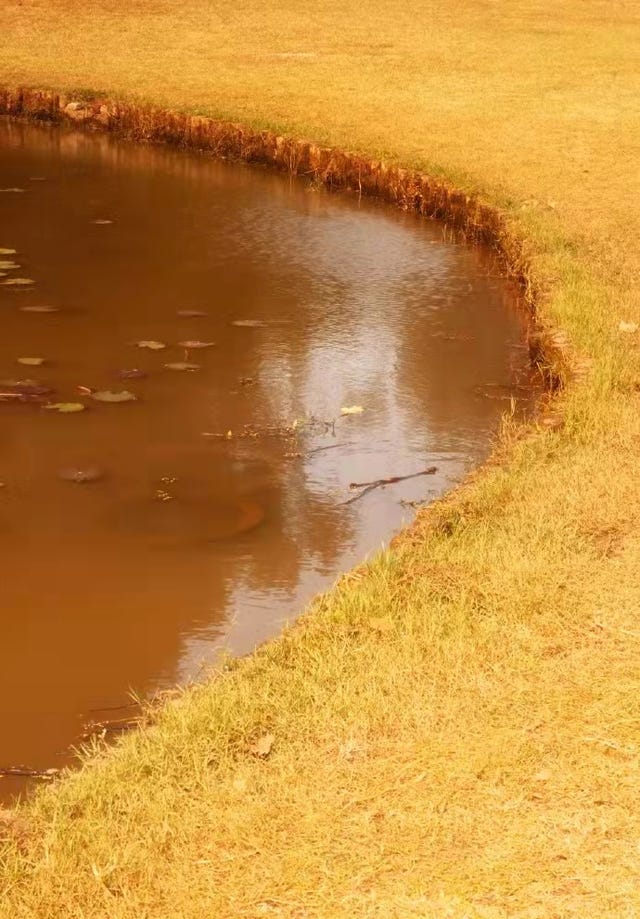 li