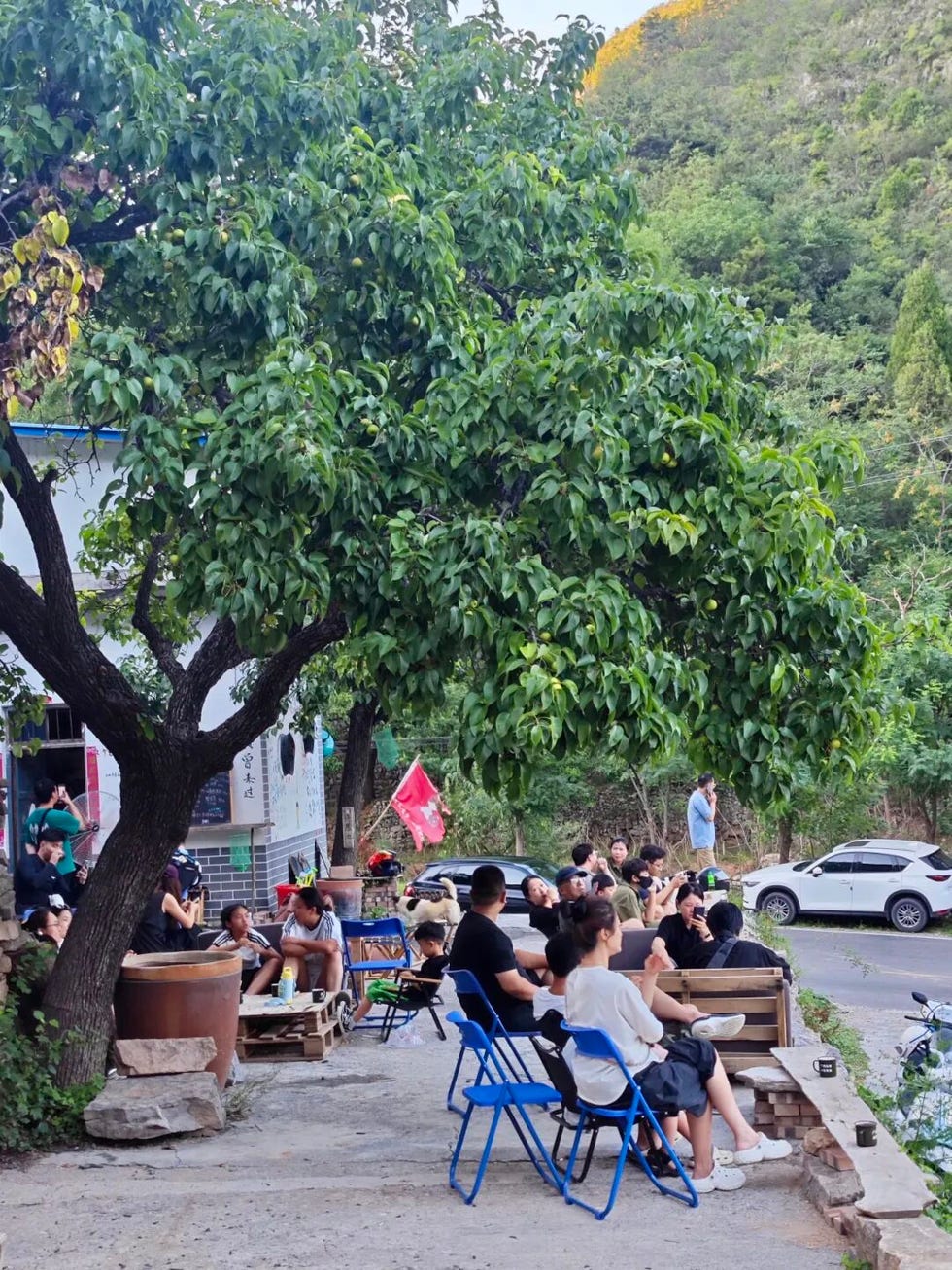outdoor gathering space with seating and greenery