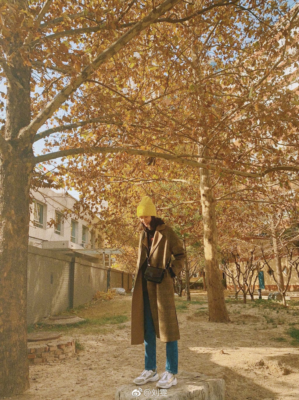 Tree, Yellow, Standing, Woody plant, Leaf, Autumn, Plant, Branch, Outerwear, Jacket, 