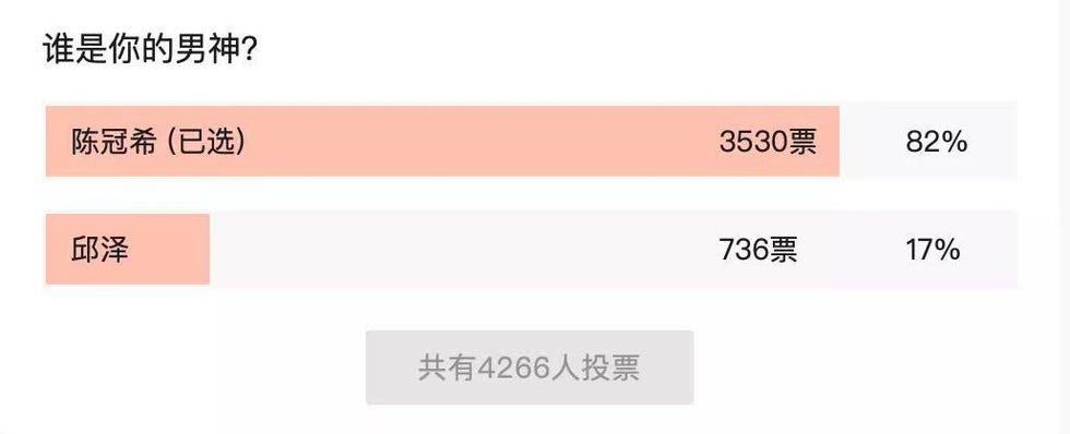 投票