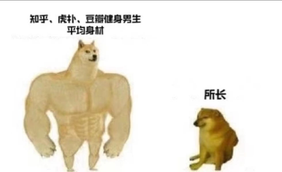 网络