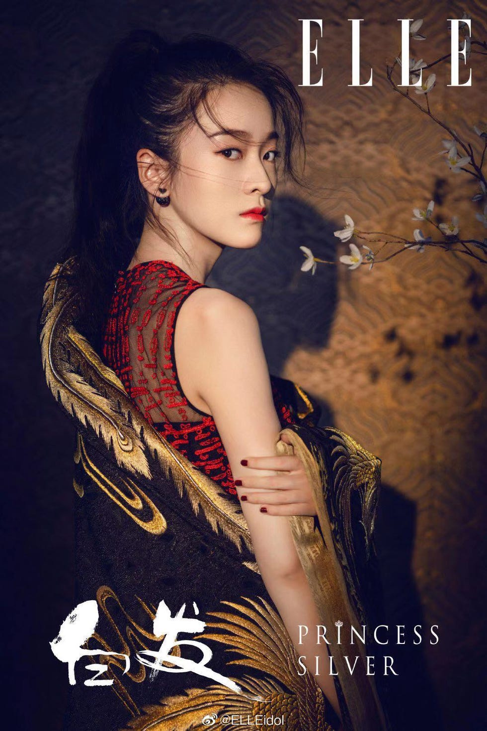 Album cover, Beauty, Cg artwork, Book cover, Poster, Formal wear, Photography, Photo shoot, Long hair, Feather, 