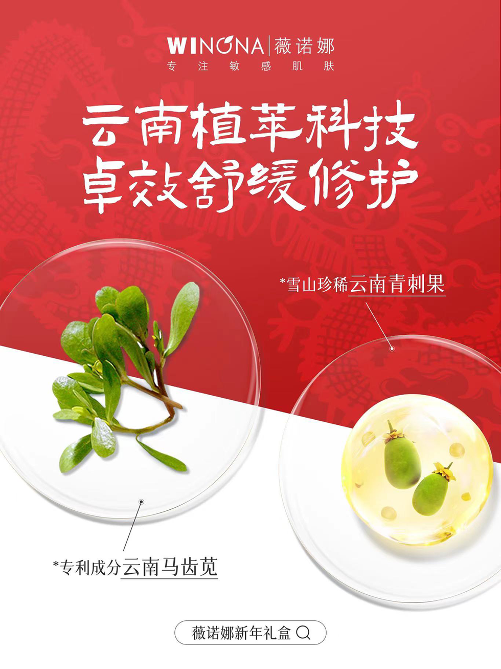 a red book cover with a plant and a bowl of soup