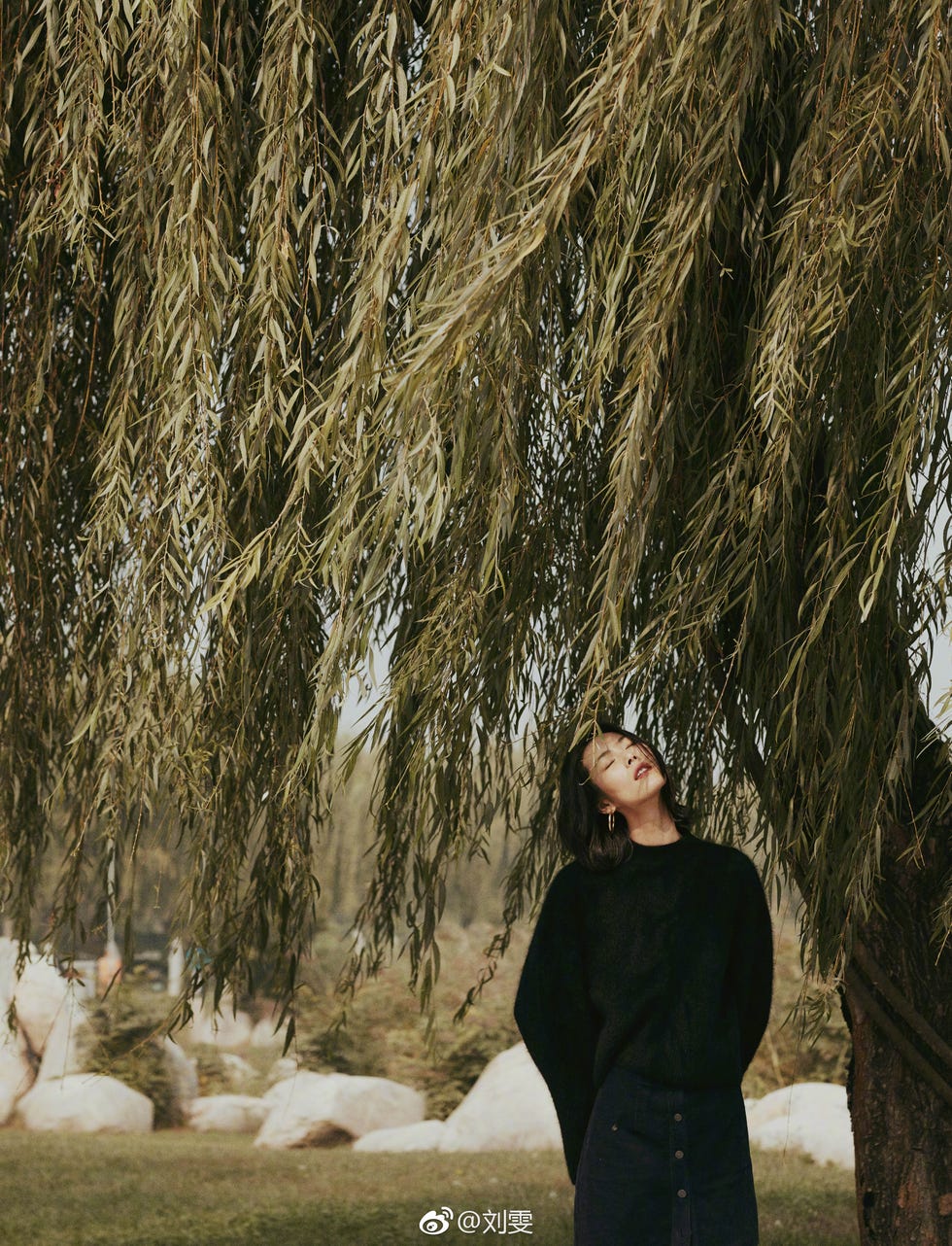Tree, Woody plant, Branch, Photography, Grass, Plant, Long hair, Winter, Black hair, 